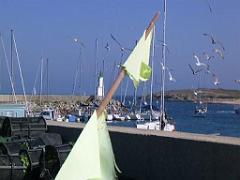 156 ILE DE HOEDIC_000049